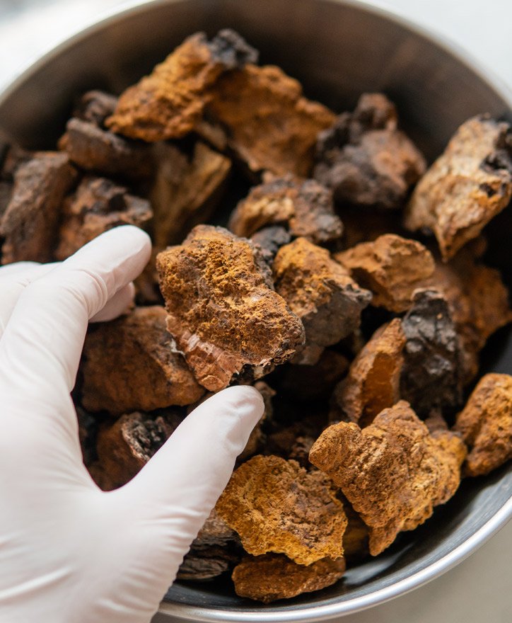 buy chaga online