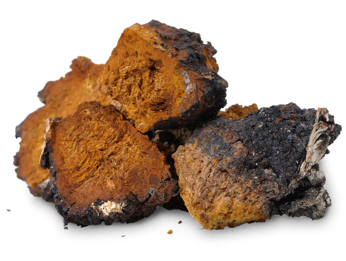 Chaga Mushroom Pieces - Dried Chaga - Image 2