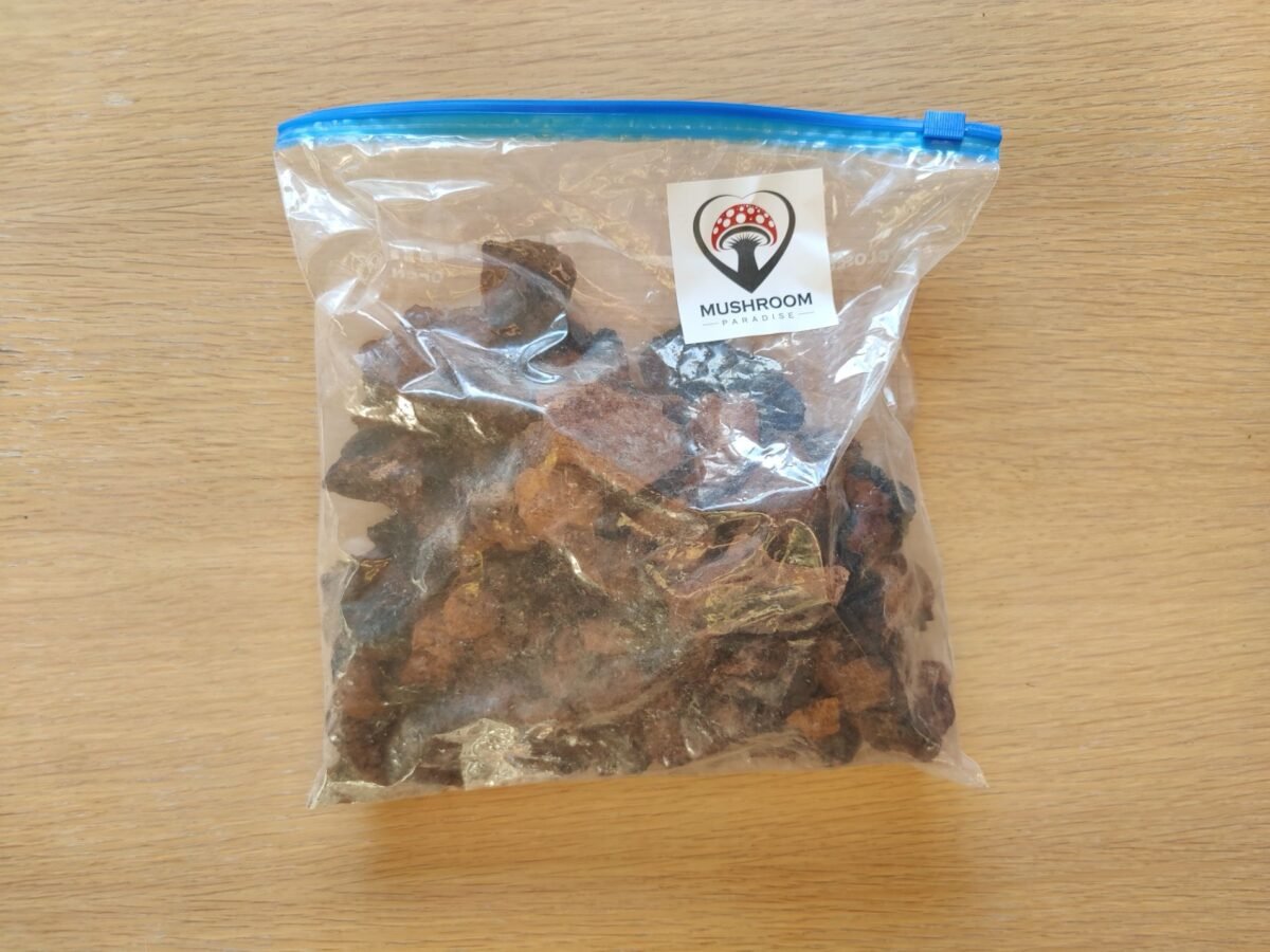 Chaga Mushroom Canada 500 gr