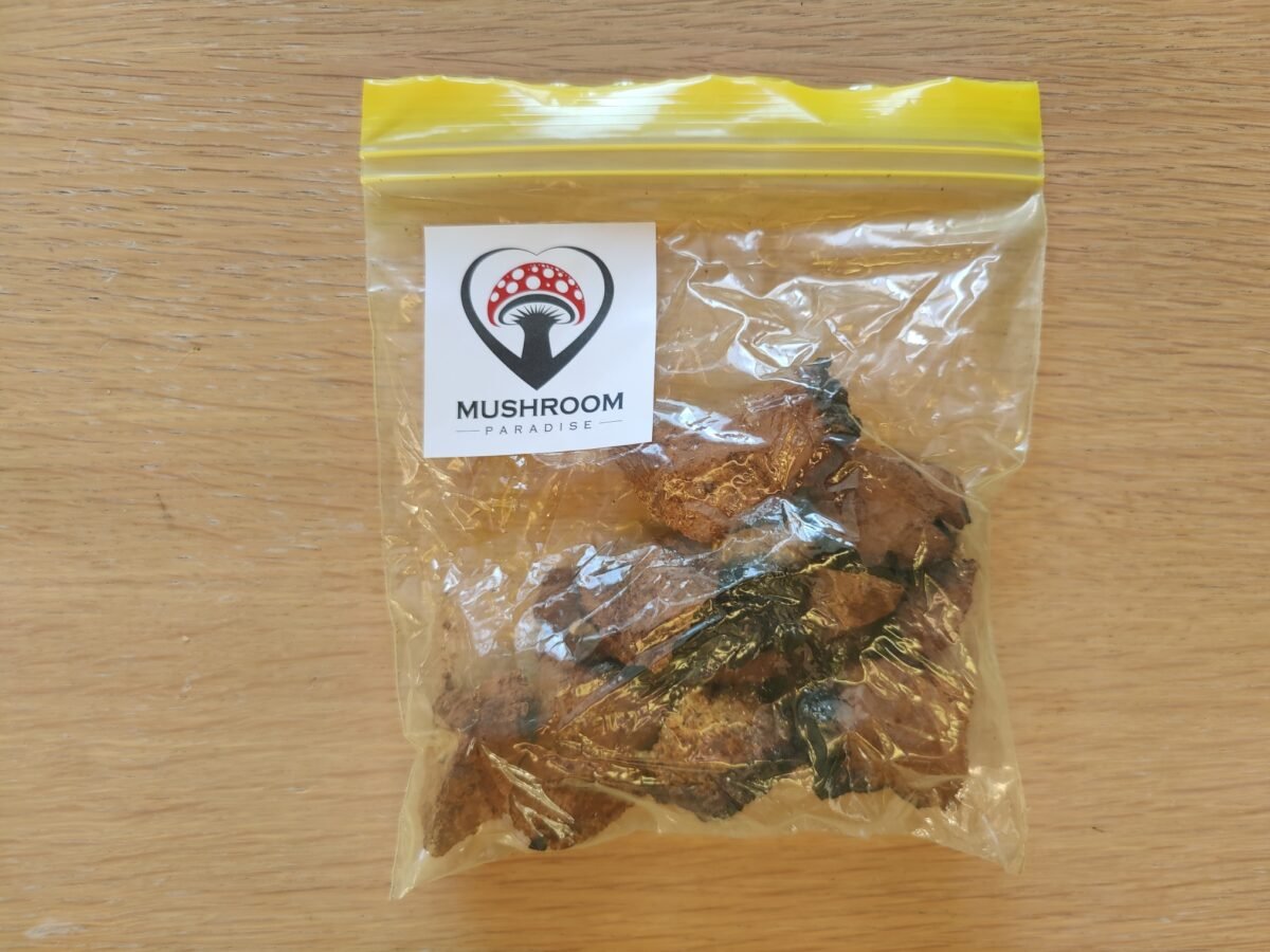 Chaga Mushroom Canada 100 gr